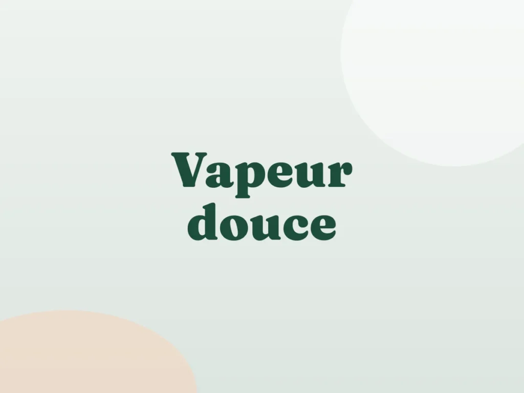 Cuiseur vapeur douce : avantages et critères de choix